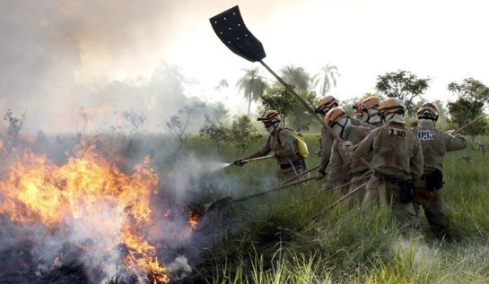 Quatro aviões e quase 90 bombeiros e brigadistas tentam combater incêndios no Pantanal de MT que já duram 2 semanas treinamento-dos-bombeiros-no-combate-a-incendio-florestal-foto-edemir-rodrigues-1-730x425-1-.jpg