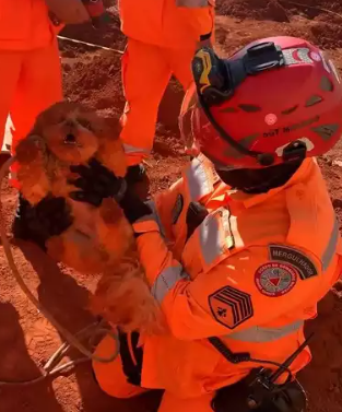Vídeo: bombeiros resgatam cachorrinho que caiu em buraco de obra resgatecachorrinho-.png