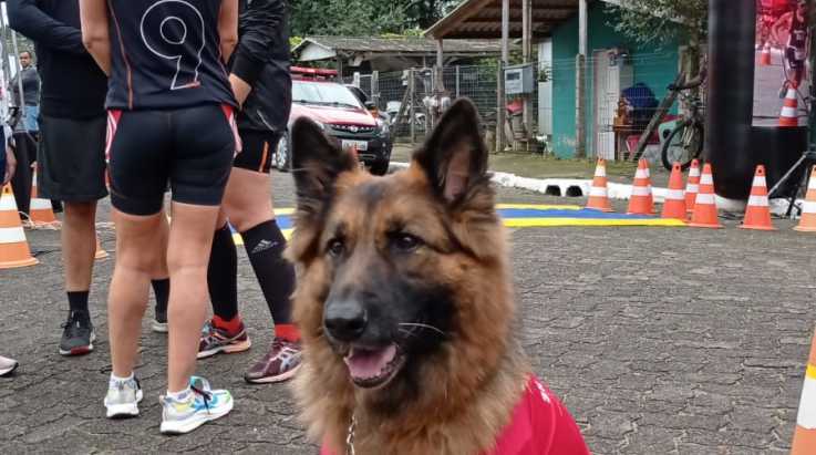 ABERGS prestigia 6° Corrida do Fogo do Corpo de Bombeiros de Taquara