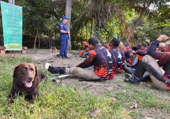 Bombeiros Militares do CBMSC ministram aulas em curso nacional de busca com cães bombeiros-militares-do-cbmsc-ministram-aulas-em-curso-nacional-de-busca-com-caes-20220512-1246336176.jpeg