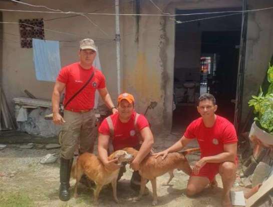 CE: Corpo de Bombeiros resgata dois cães que caíram em um poço na Capital corpo-de-bombeiros-resgata-600x800-1-e1677613001890.jpeg